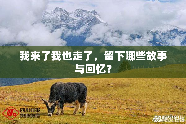 我来了我也走了，留下哪些故事与回忆？
