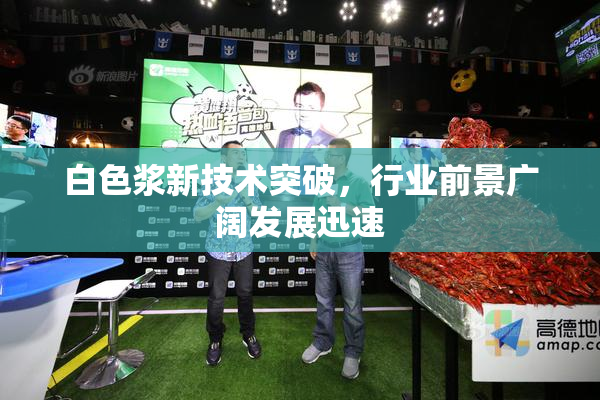 白色浆新技术突破，行业前景广阔发展迅速