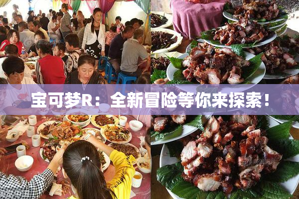 宝可梦R：全新冒险等你来探索！