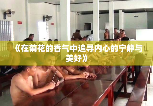 《在菊花的香气中追寻内心的宁静与美好》
