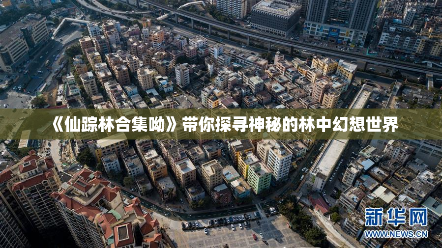 《仙踪林合集呦》带你探寻神秘的林中幻想世界