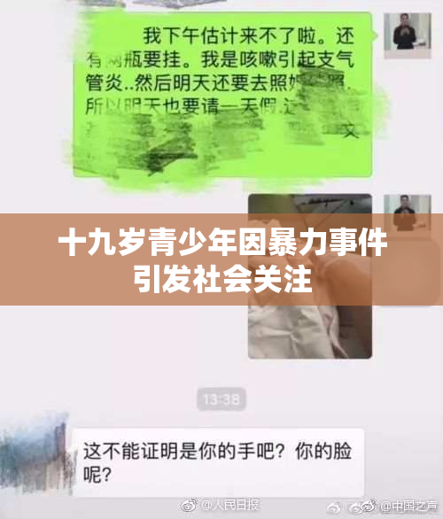 十九岁青少年因暴力事件引发社会关注