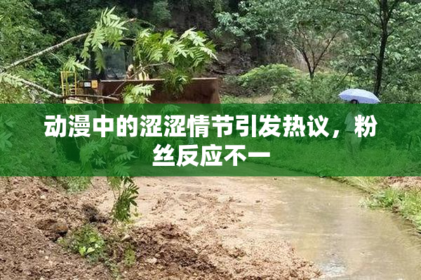 动漫中的涩涩情节引发热议，粉丝反应不一