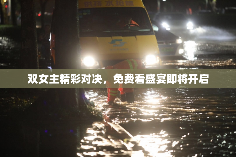 双女主精彩对决，免费看盛宴即将开启