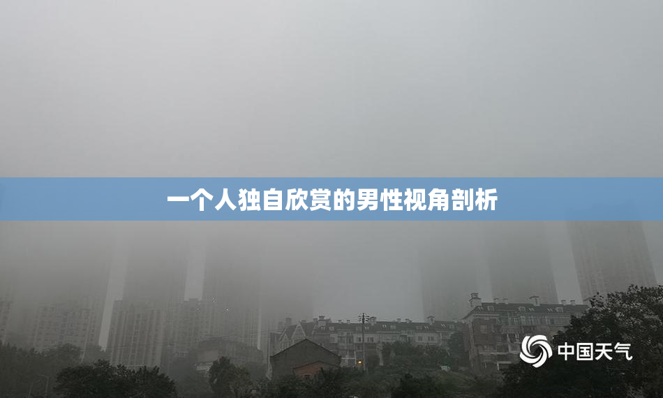 一个人独自欣赏的男性视角剖析