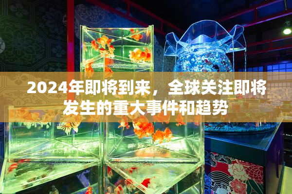 2024年即将到来，全球关注即将发生的重大事件和趋势