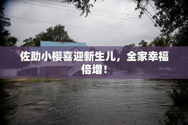 佐助小樱喜迎新生儿，全家幸福倍增！