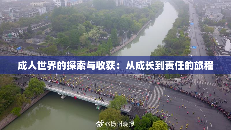 成人世界的探索与收获：从成长到责任的旅程