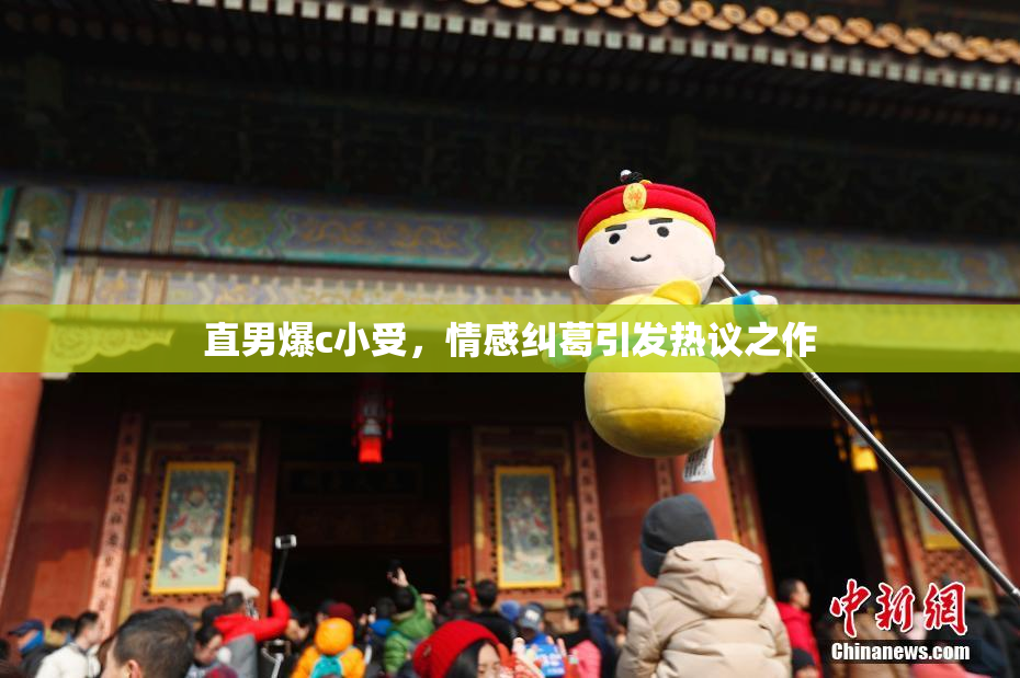 直男爆c小受，情感纠葛引发热议之作