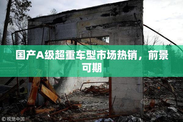 国产A级超重车型市场热销，前景可期