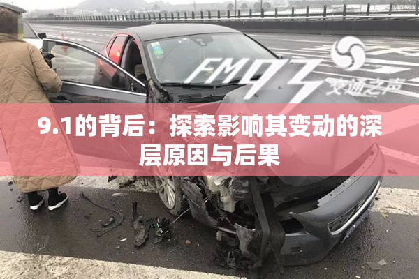 9.1的背后：探索影响其变动的深层原因与后果
