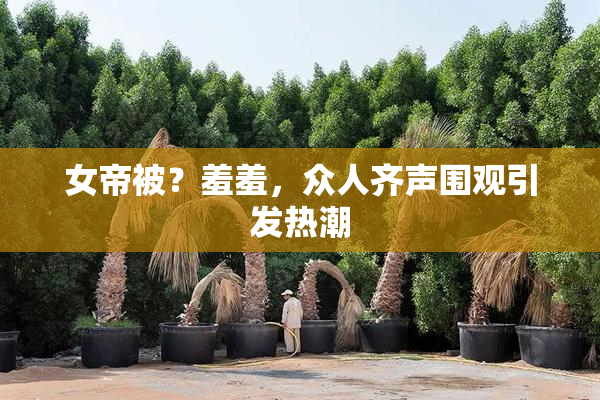 女帝被？羞羞，众人齐声围观引发热潮