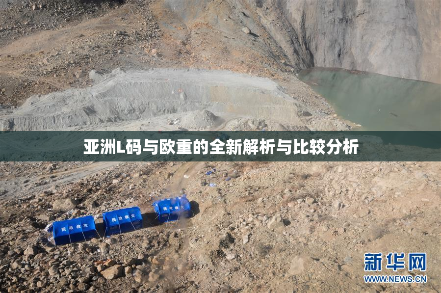 亚洲L码与欧重的全新解析与比较分析