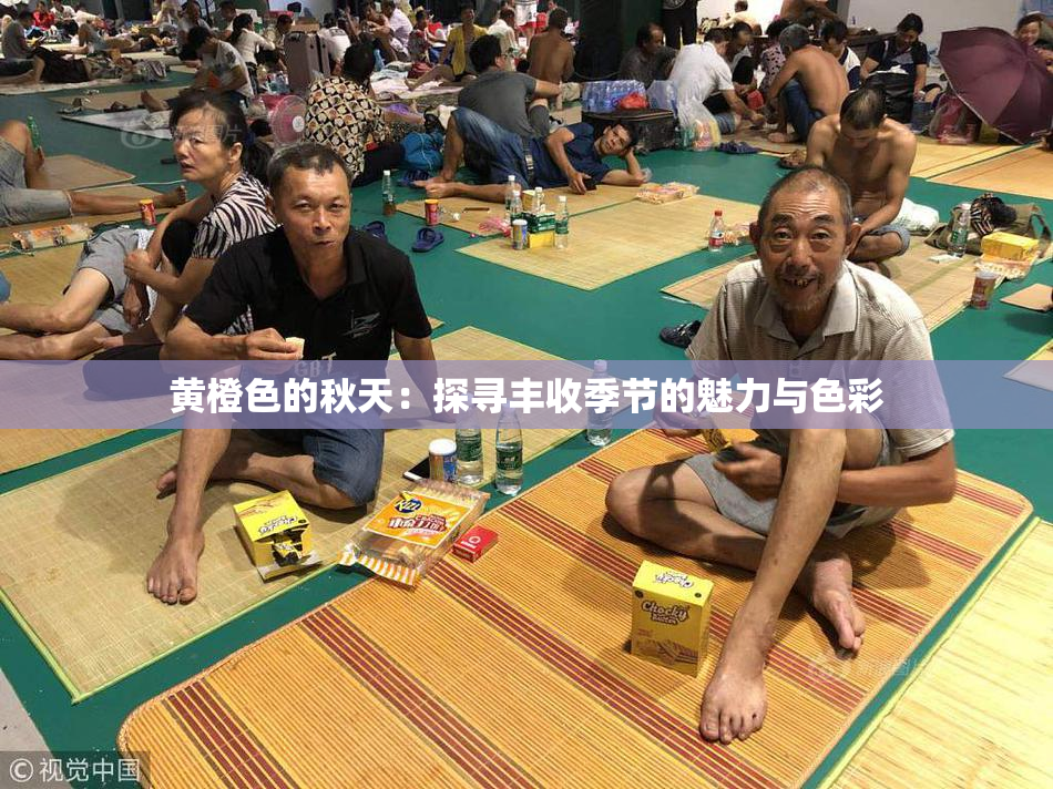 黄橙色的秋天：探寻丰收季节的魅力与色彩