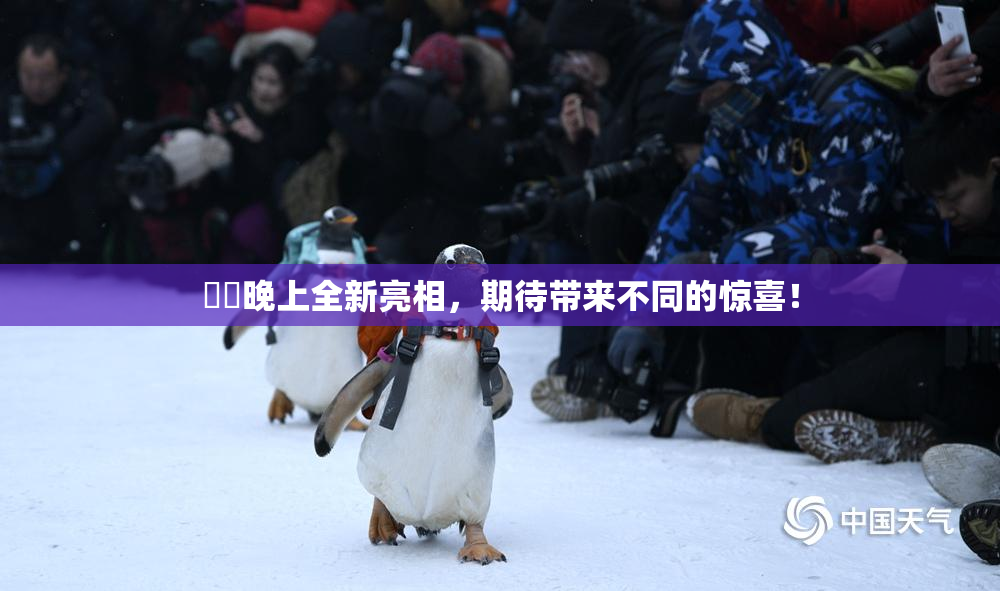 妺妺晚上全新亮相，期待带来不同的惊喜！