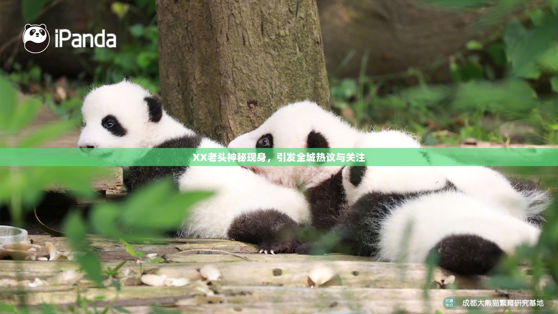 XX老头神秘现身，引发全城热议与关注