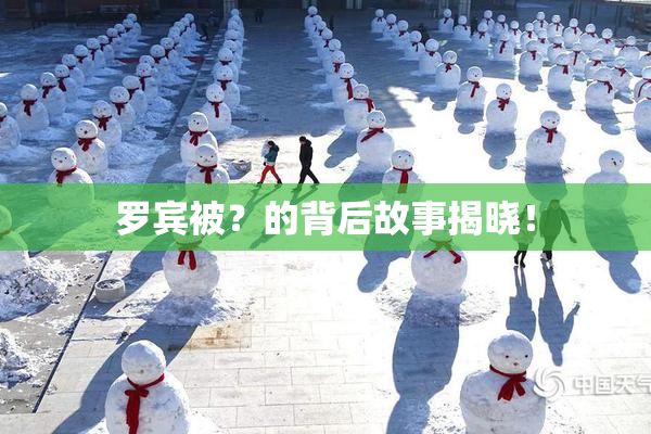 罗宾被？的背后故事揭晓！