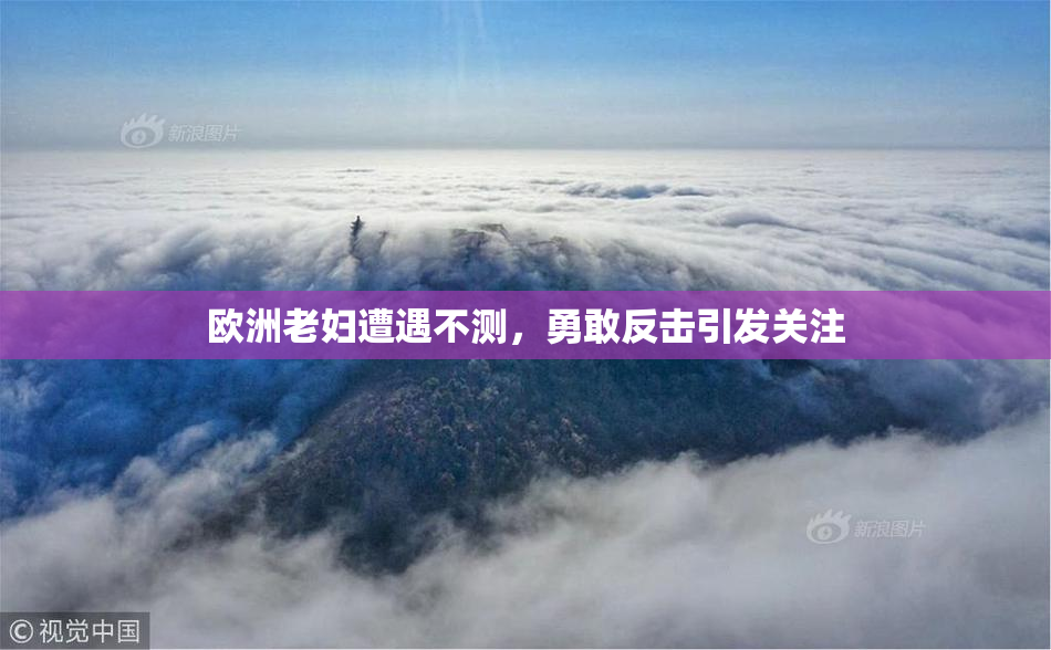 欧洲老妇遭遇不测，勇敢反击引发关注