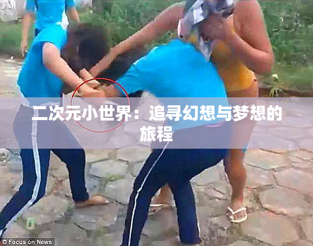 二次元小世界：追寻幻想与梦想的旅程