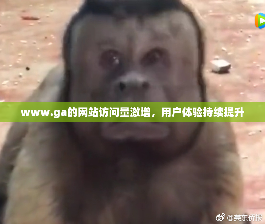 www.ga的网站访问量激增，用户体验持续提升