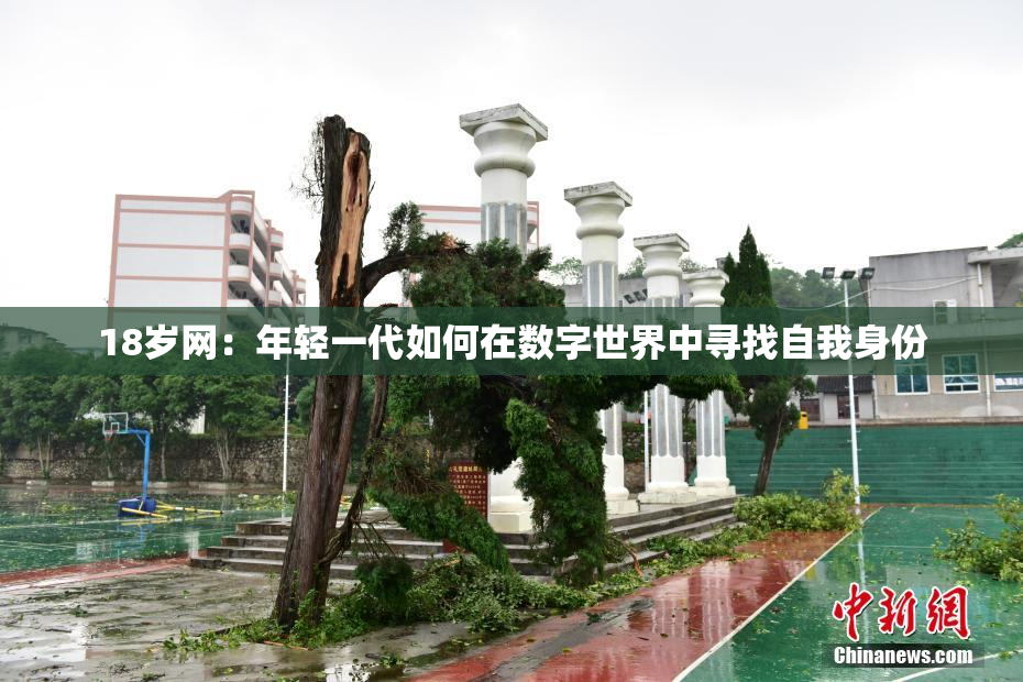 18岁网：年轻一代如何在数字世界中寻找自我身份