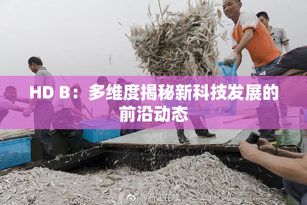 HD B：多维度揭秘新科技发展的前沿动态