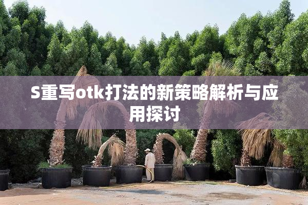 S重写otk打法的新策略解析与应用探讨