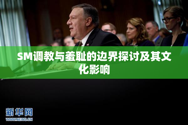 SM调教与羞耻的边界探讨及其文化影响
