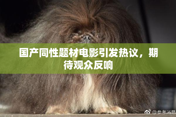 国产同性题材电影引发热议，期待观众反响
