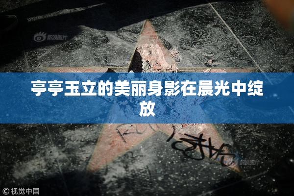 亭亭玉立的美丽身影在晨光中绽放