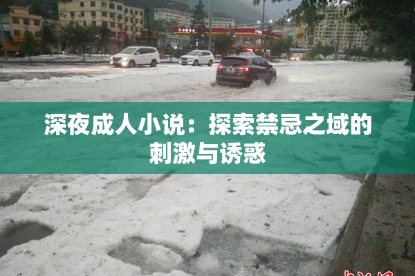 深夜成人小说：探索禁忌之域的刺激与诱惑