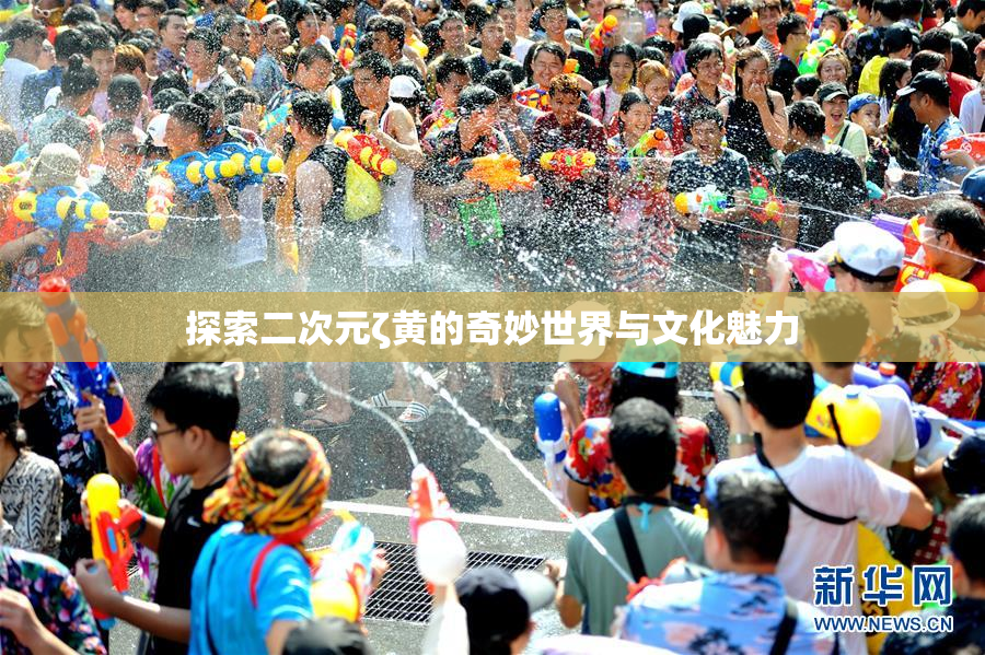 探索二次元ζ黄的奇妙世界与文化魅力