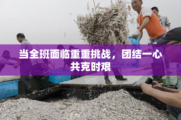 当全班面临重重挑战，团结一心共克时艰