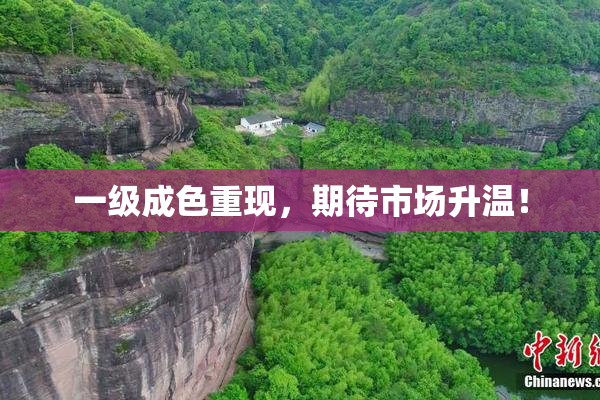 一级成色重现，期待市场升温！