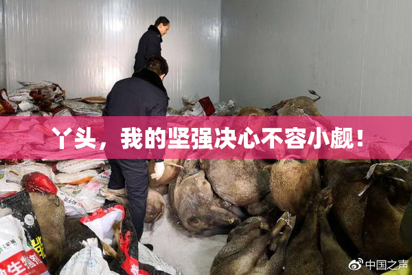 丫头，我的坚强决心不容小觑！