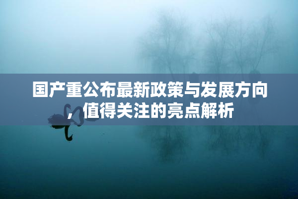 国产重公布最新政策与发展方向，值得关注的亮点解析