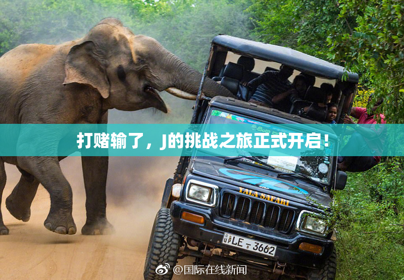 打赌输了，J的挑战之旅正式开启！