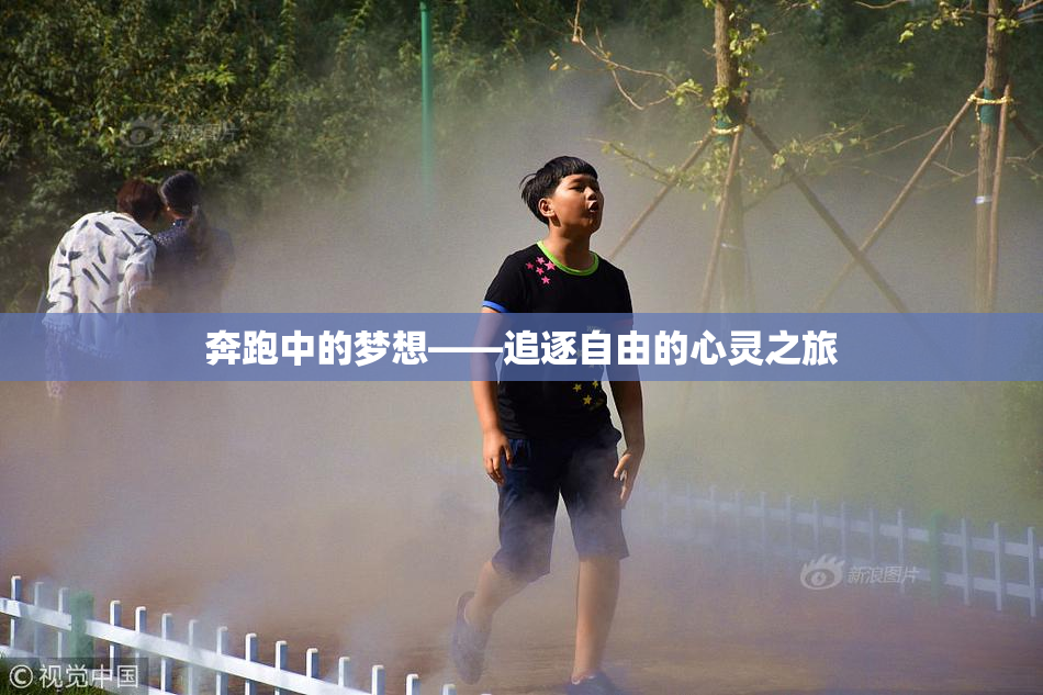 奔跑中的梦想——追逐自由的心灵之旅