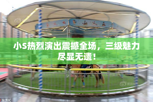 小S热烈演出震撼全场，三级魅力尽显无遗！