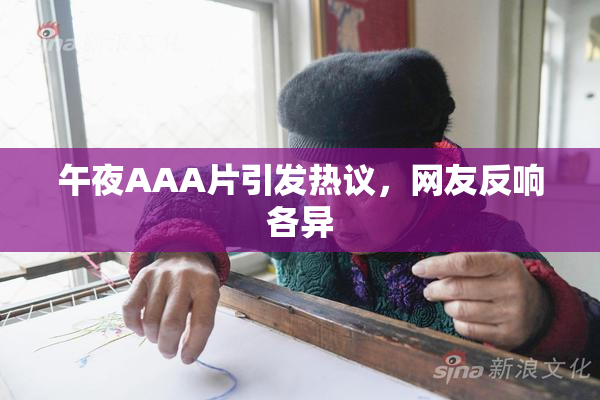 午夜AAA片引发热议，网友反响各异