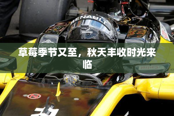 草莓季节又至，秋天丰收时光来临