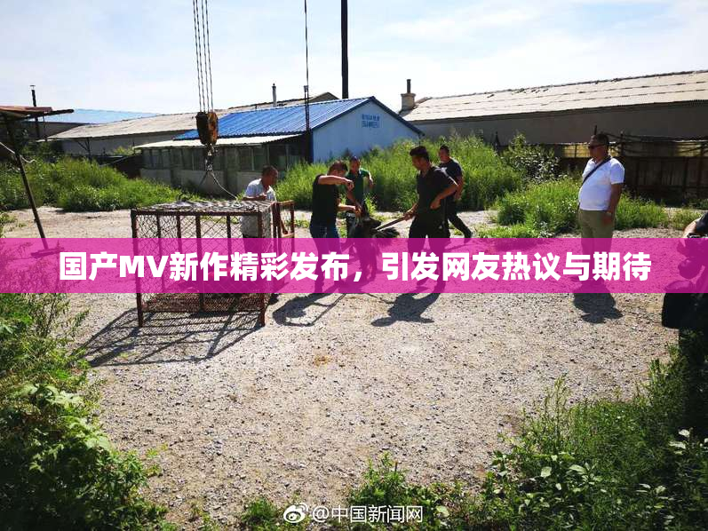 国产MV新作精彩发布，引发网友热议与期待
