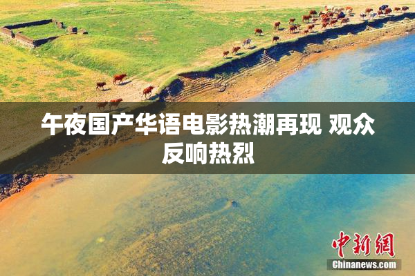 午夜国产华语电影热潮再现 观众反响热烈