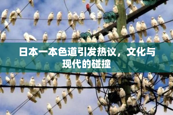 日本一本色道引发热议，文化与现代的碰撞