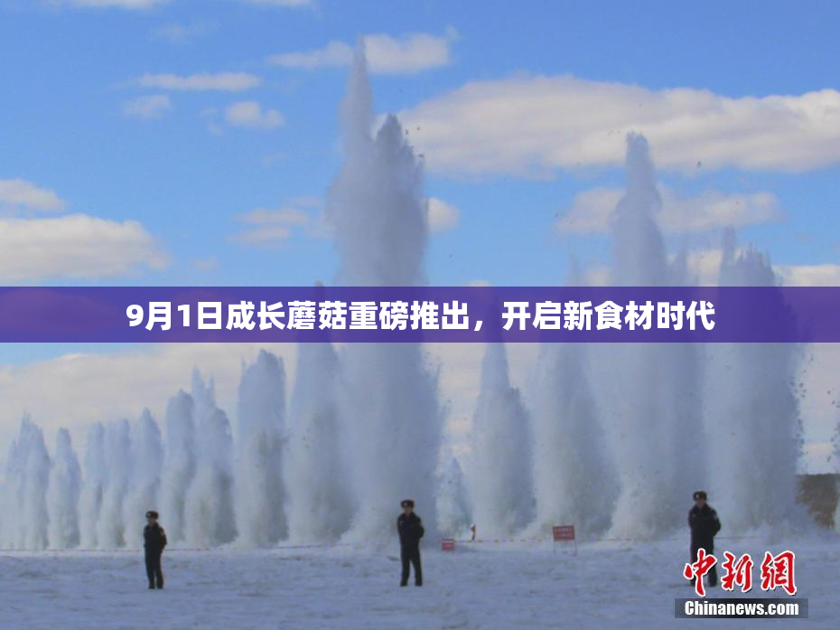 9月1日成长蘑菇重磅推出，开启新食材时代