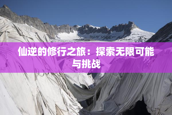 仙逆的修行之旅：探索无限可能与挑战