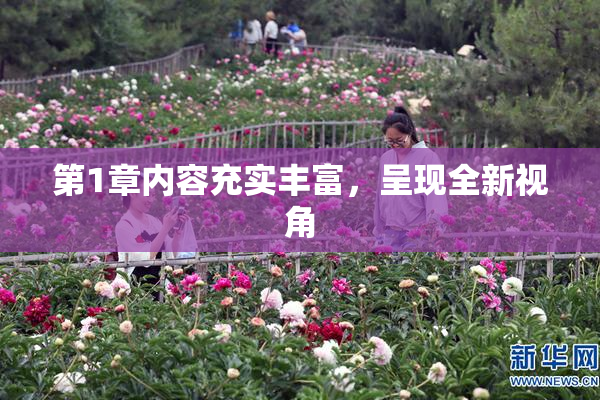 第1章内容充实丰富，呈现全新视角