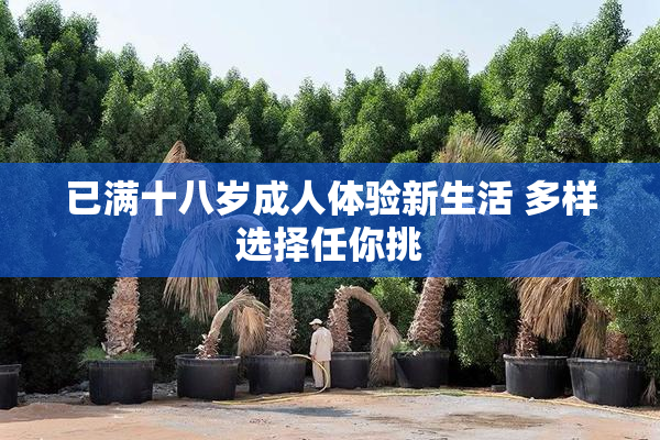 已满十八岁成人体验新生活 多样选择任你挑