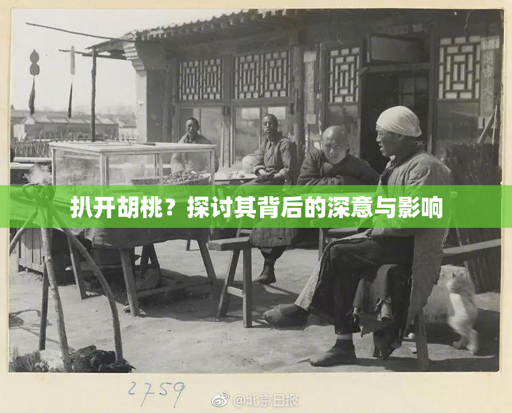 扒开胡桃？探讨其背后的深意与影响