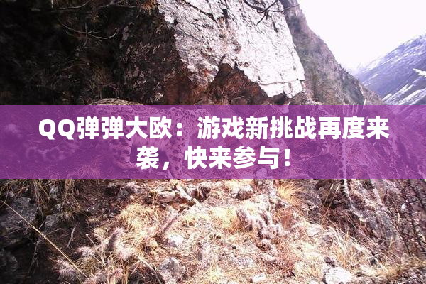 QQ弹弹大欧：游戏新挑战再度来袭，快来参与！
